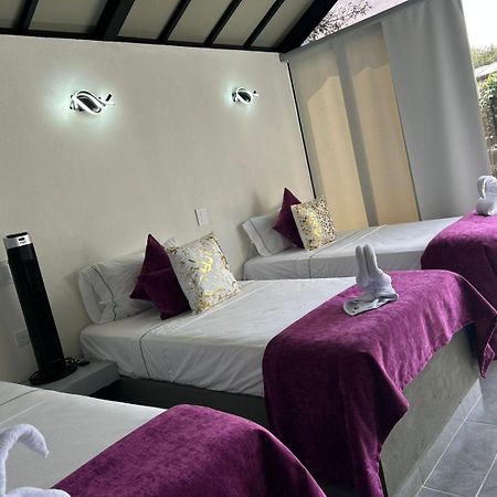 Star Center Hotel Boutique ริโอเนโกร ภายนอก รูปภาพ