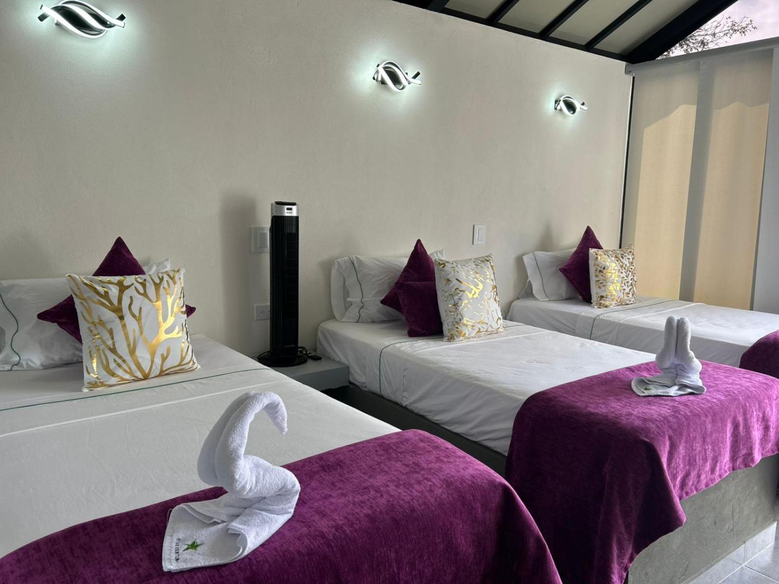 Star Center Hotel Boutique ริโอเนโกร ภายนอก รูปภาพ